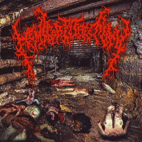 Mutilated Female Victims in a Sewer Basement After Being Raped and Rotting Embryos Washed Out of Dra